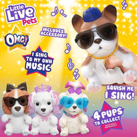 Little Live Pets OMG Series 4 Pets Got Talent - Hip Hop