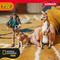 Schleich Wild Life 42623 Outback Adventure with Dingo, Kangaroo and Joey (National Geographic Kids)